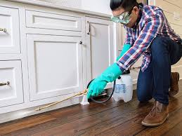 Best Pest Prevention Services  in Keystone Heights, FL